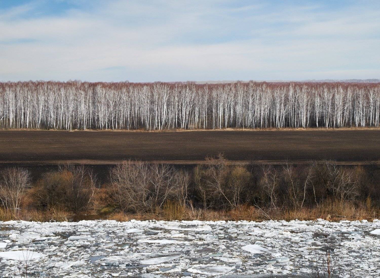 весна, река, ледоход, поле, лес, Сергей Романчук