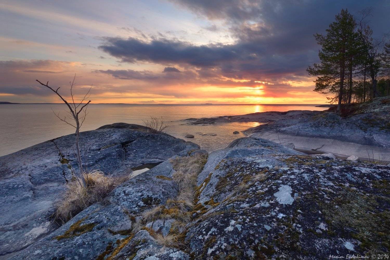 , Максим Евдокимов