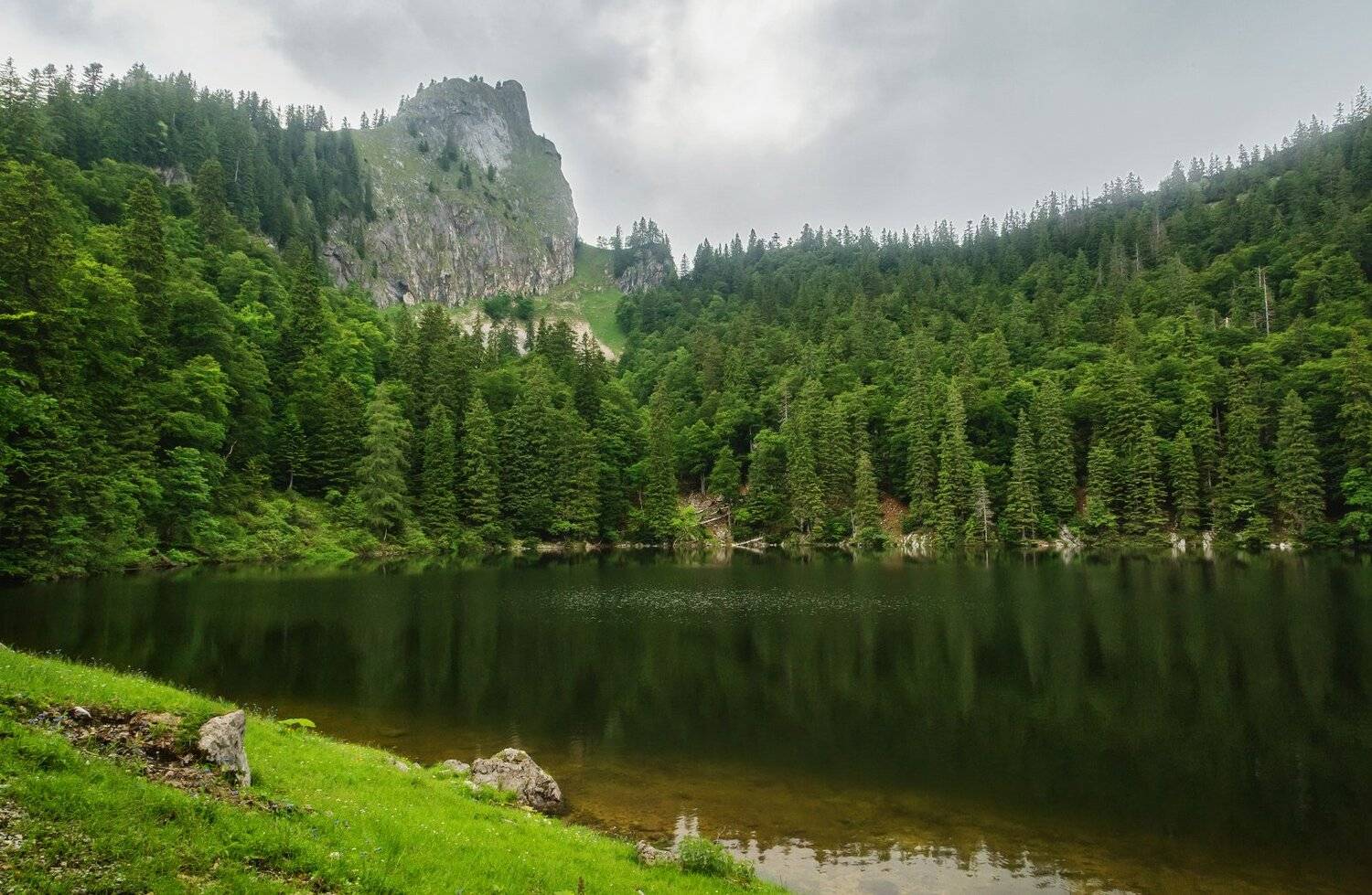 , Александр Удовиченко