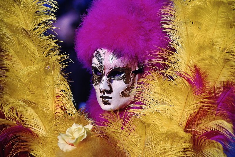maschera,piume,ritratto,giallo,viola Maschera фото превью