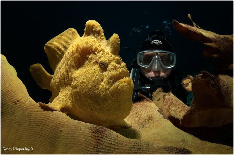 Face to Face фото превью