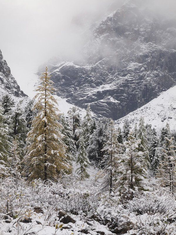 ...Осенний снег... фото превью