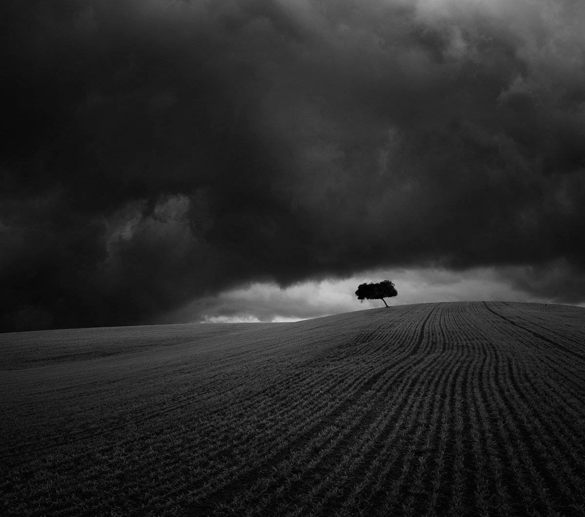 storm. Автор: anton shvain , anton shvain