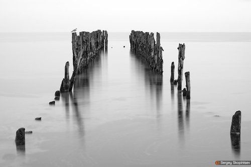Sea