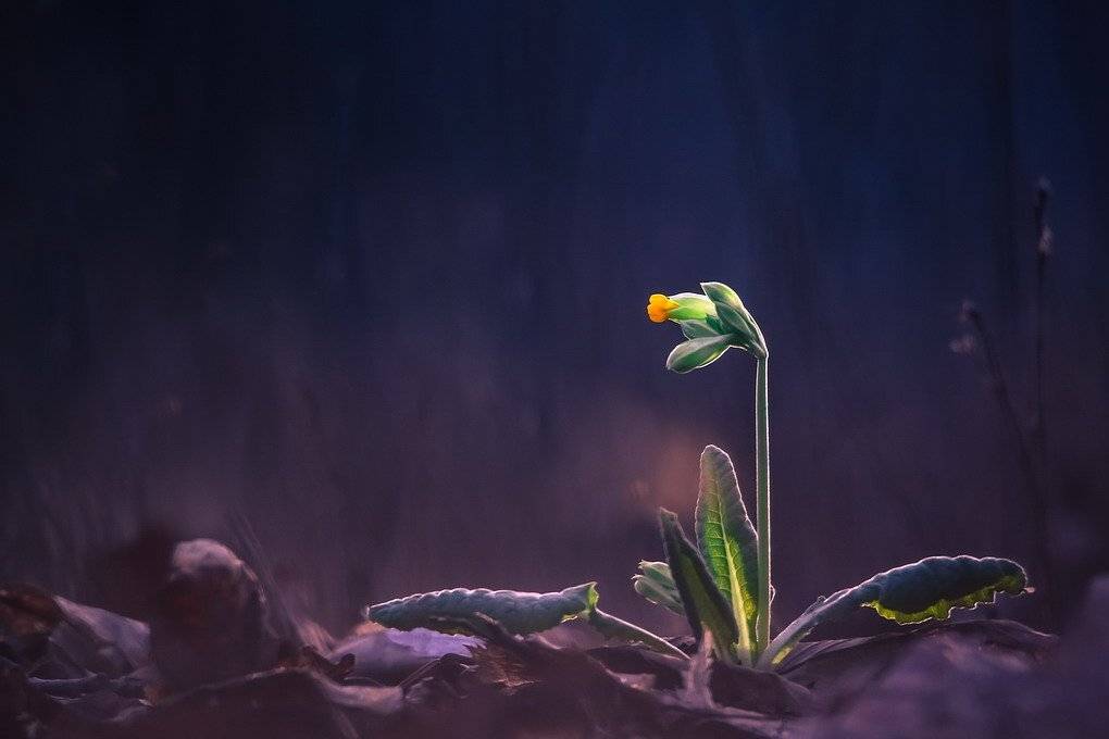 , Вячеслав Мищенко