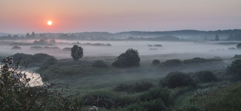 Тригорское. Пушкинские горы В царственном покое фото превью