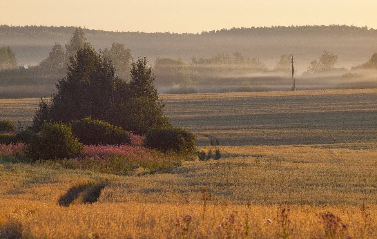 , Владимир Перепечаев
