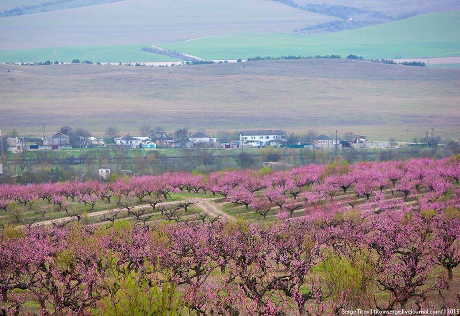 Весна, Деревня, Дерево, Дорога, Крым, Луг, Поле, Сад, Село, Serge Titov