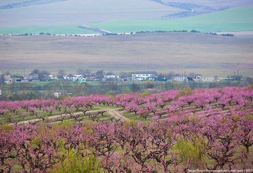 Весна в Крыму