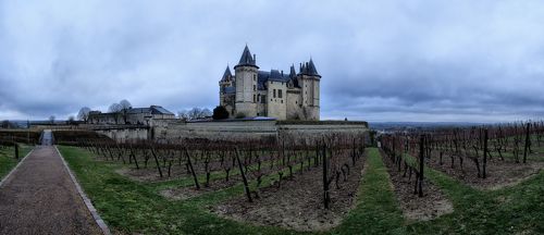 Saumur