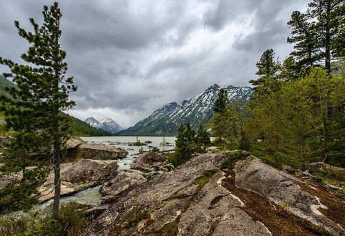 Мультинские 