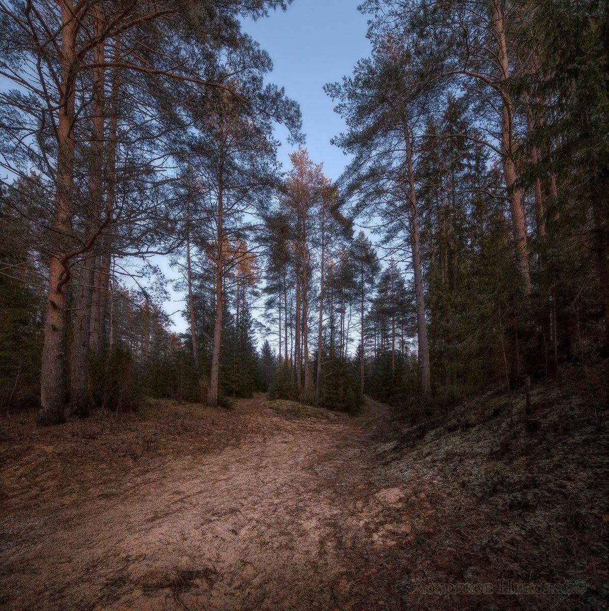 , Хохряков Николай