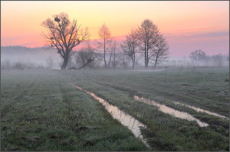 Утро Туман Рассвет Утренняя акварель фото превью