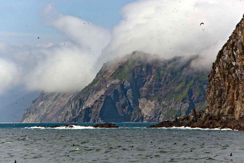Тихий Тихий океан фото превью