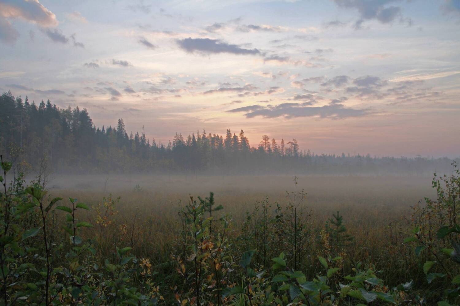 рассвет, Карелия, Ekaterina Eicher (Velichko)