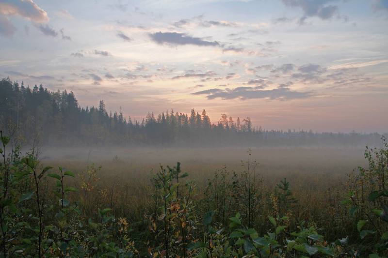 рассвет, Карелия *** фото превью