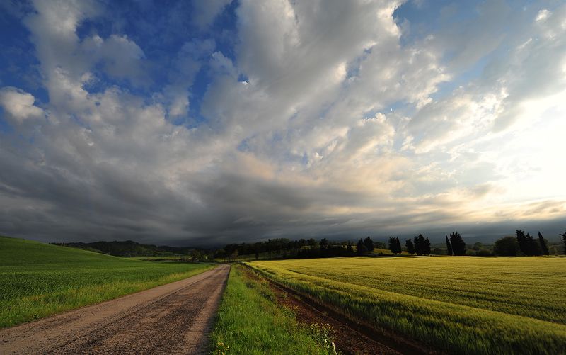Cesta фото превью