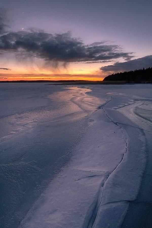 , Федотов Антон