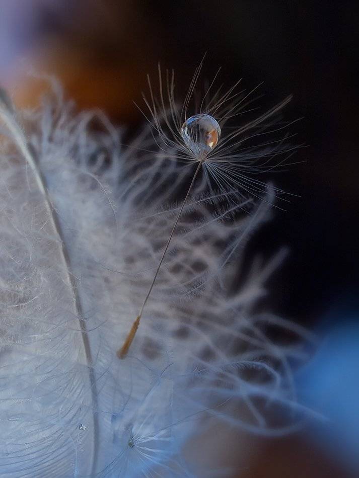 , Марина Брыдня