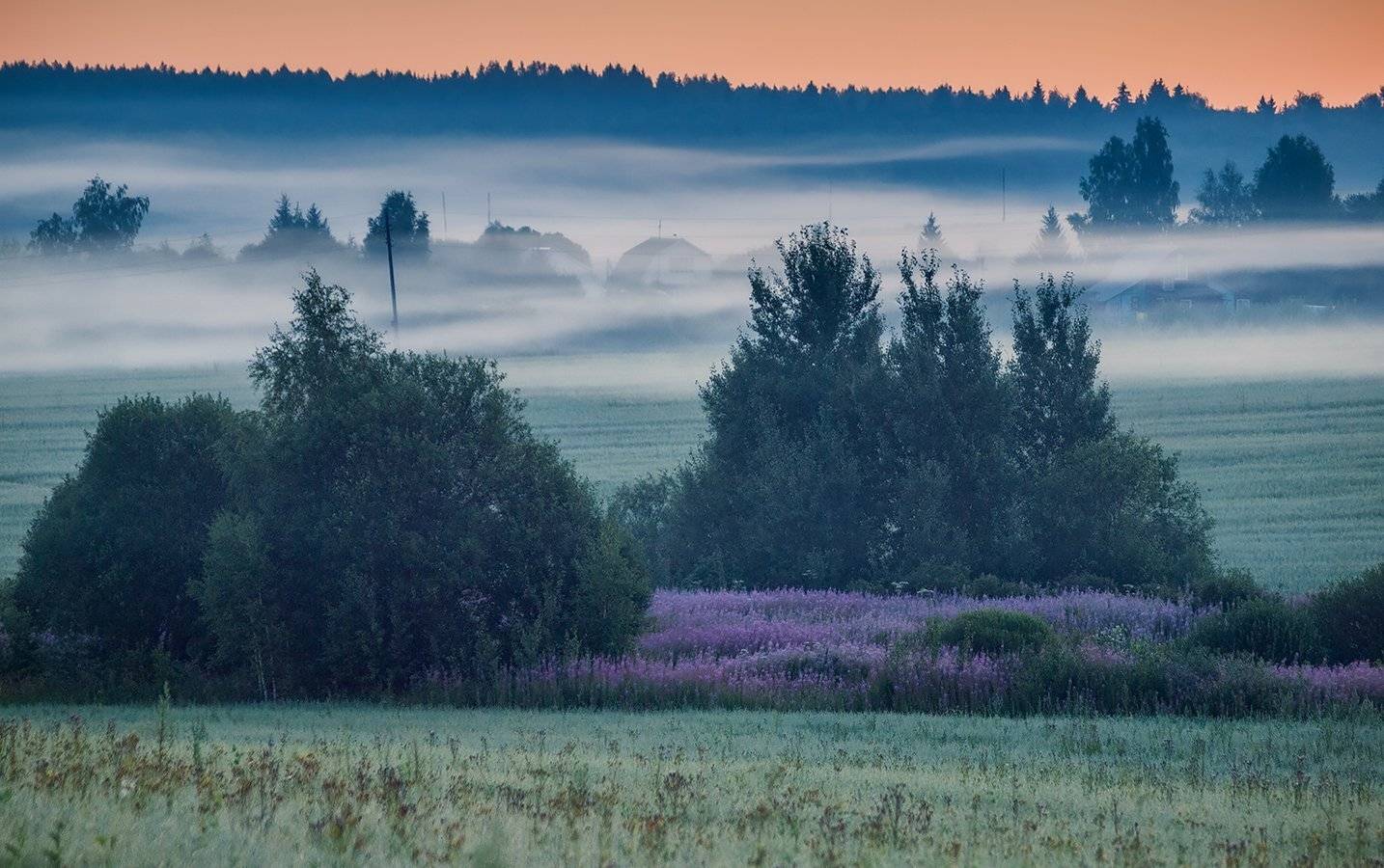 , Владимир Перепечаев