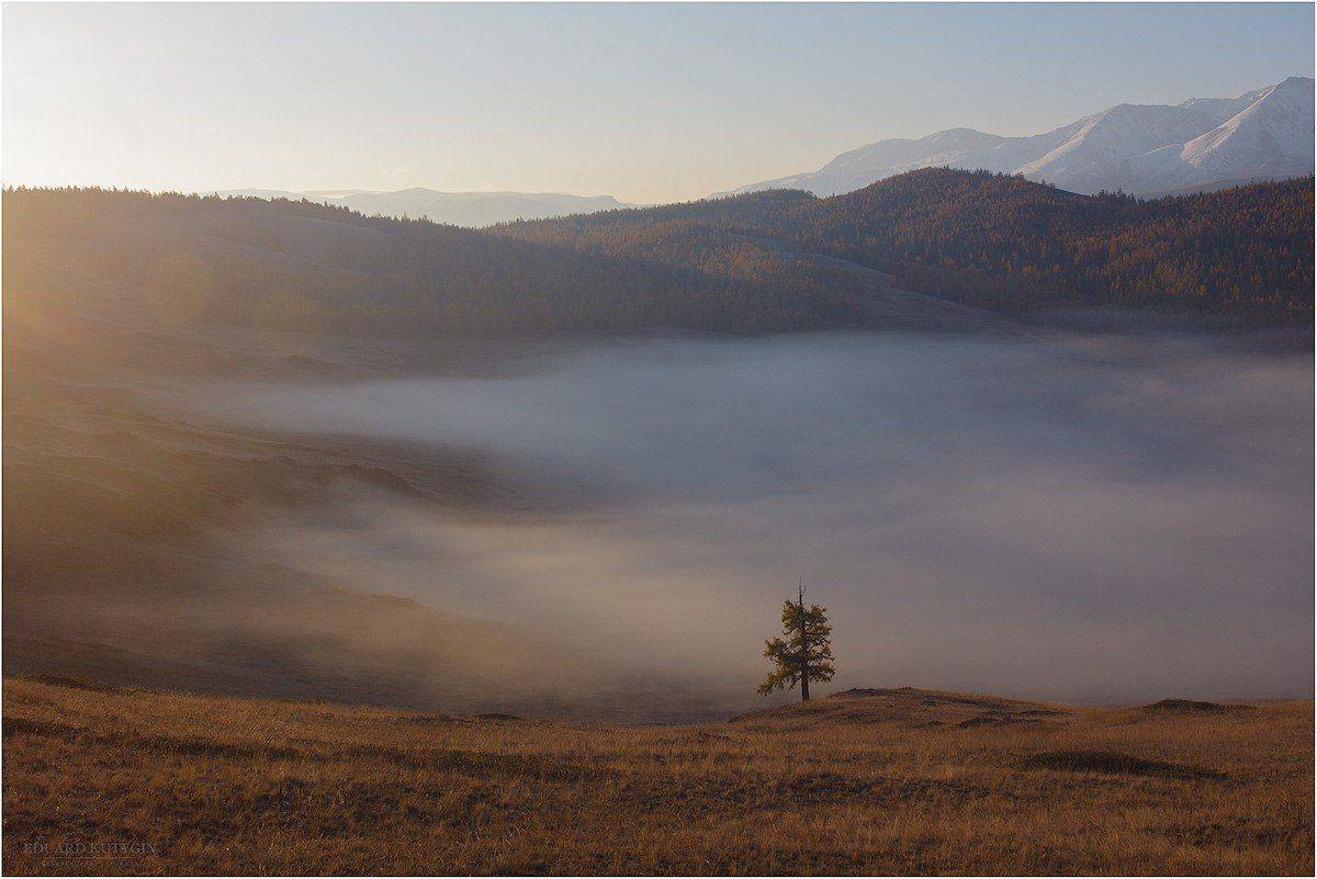 Алтай, Горный алтай, Джангысколь, Золотая осень, Курайская, Курайская степь, Осень, Северо-чуйский, Туман, Утро, Кутыгин Эдуард