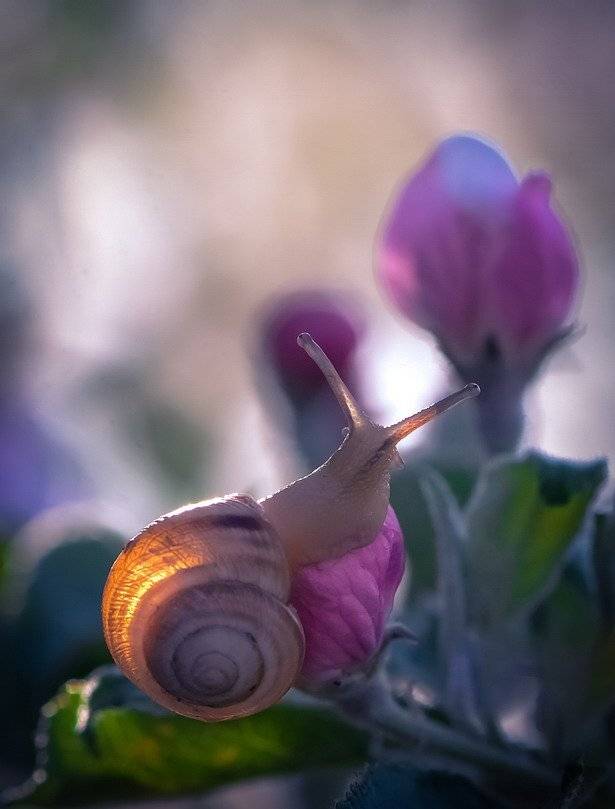 , Вячеслав Мищенко