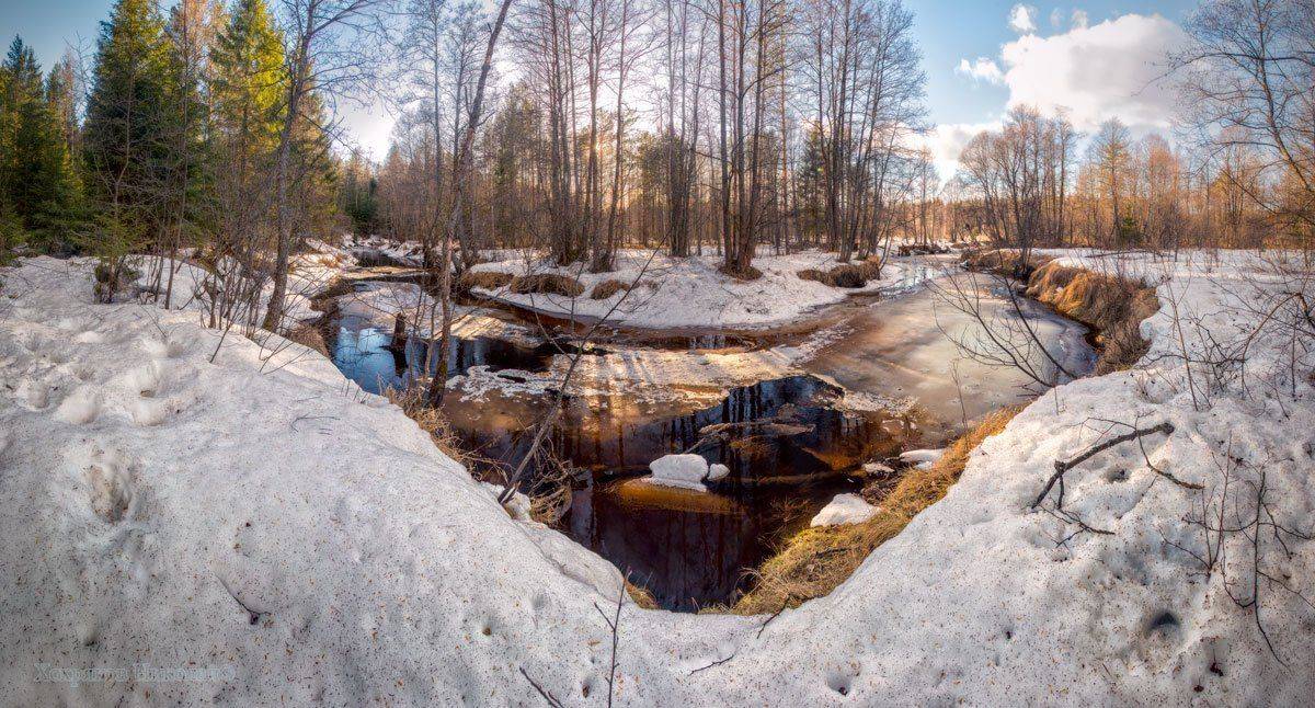 , Хохряков Николай