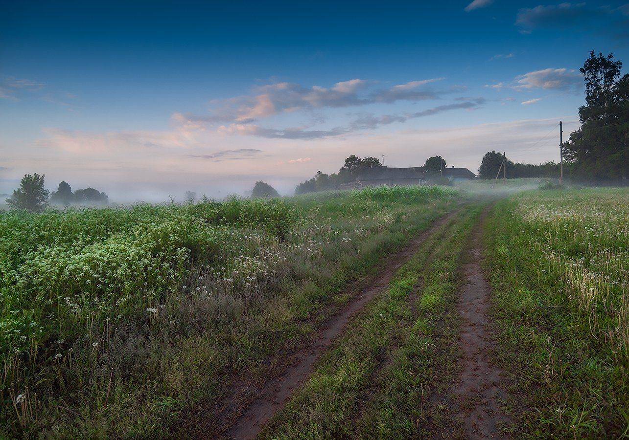 , Владимир Перепечаев