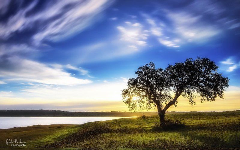 Stand alone фото превью