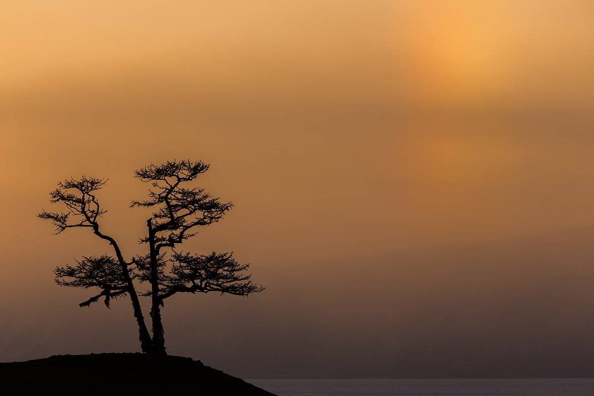 Baikal, Байкал, Бурхан, Дерево, Закат, Иркутская область, Малое море, Озеро, Ольхон, Радуга, Шаманка, Кирилл Уютнов