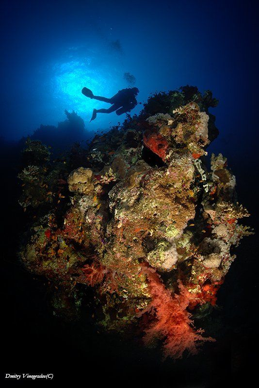 The Wall фото превью