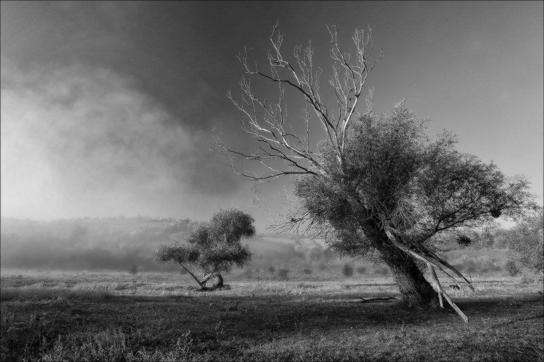 , Петриченко Валерий