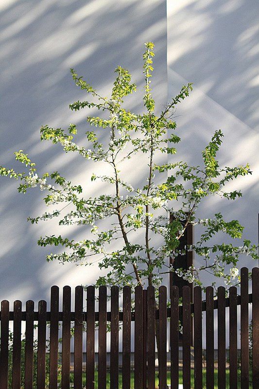 город, весна Этюд   \