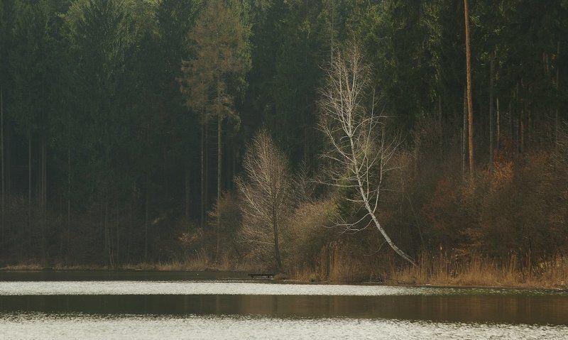 пять минут апреля... фото превью