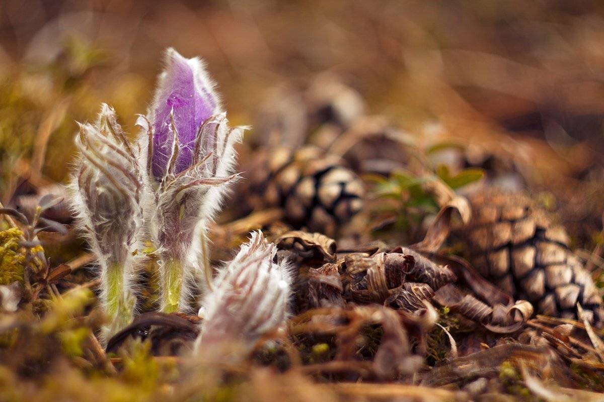 , Сергей Кузнецов