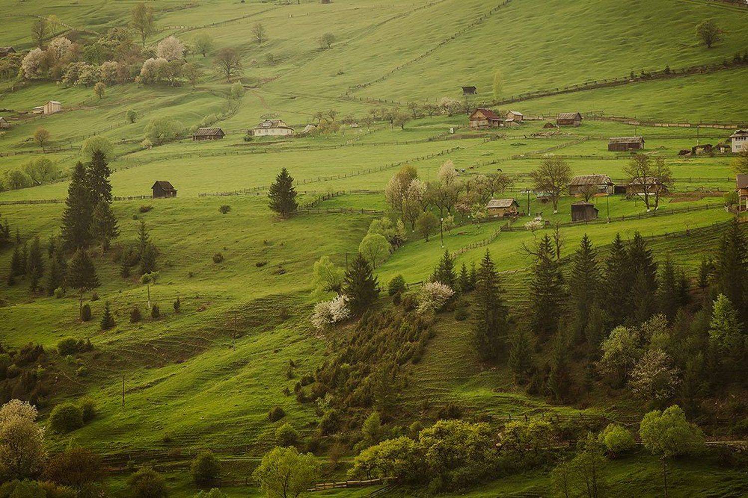 Горы, Желнова Галия