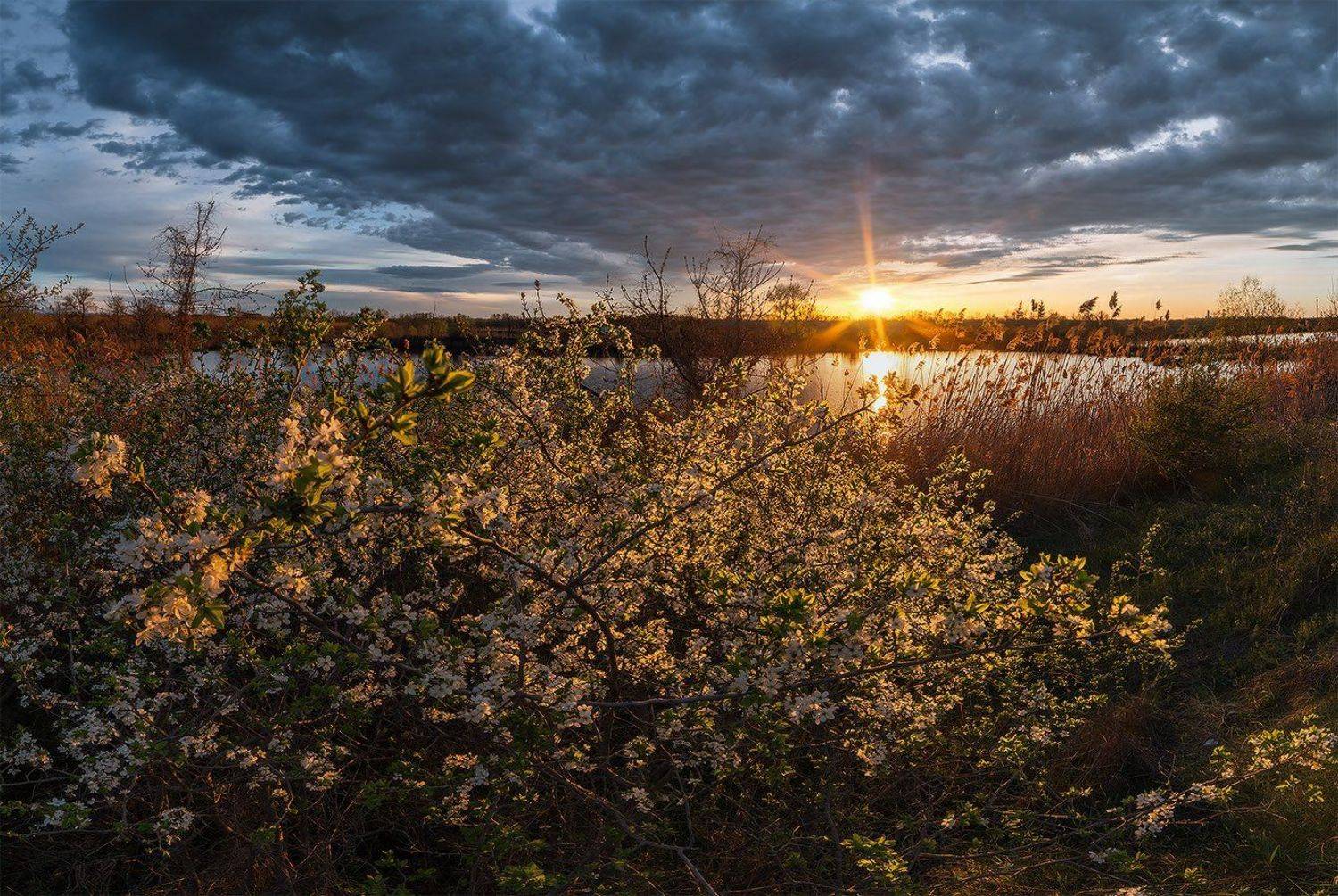 , Николай Мысливцев