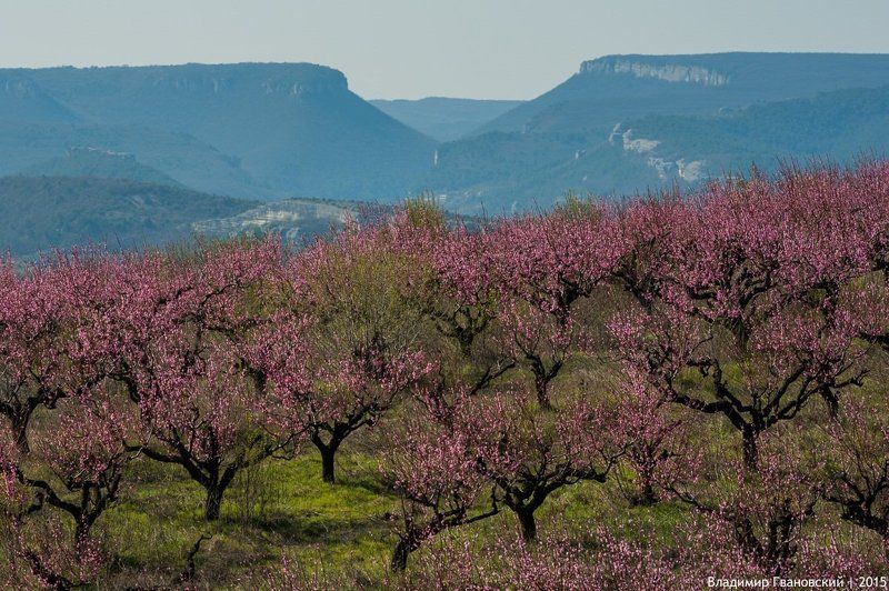Весна У Бельбекских Ворот фото превью