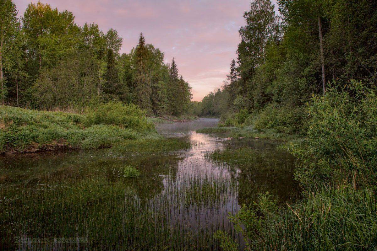 , Хохряков Николай