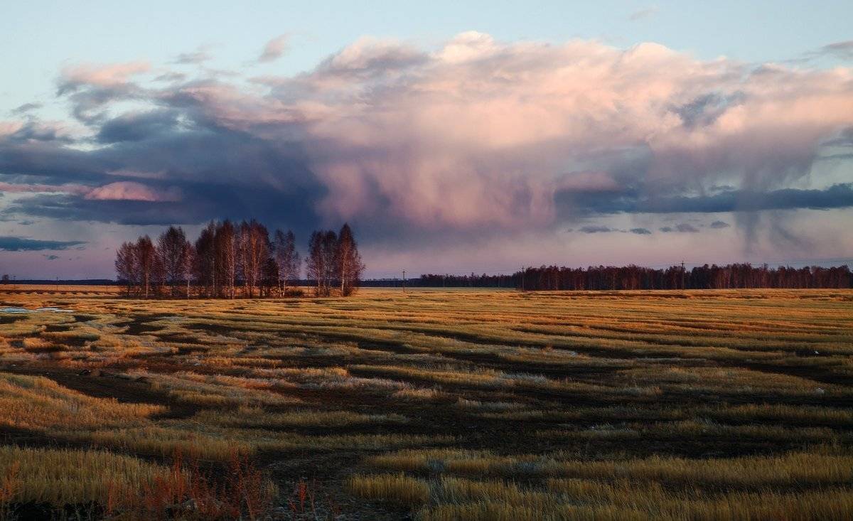 , Николай Морский