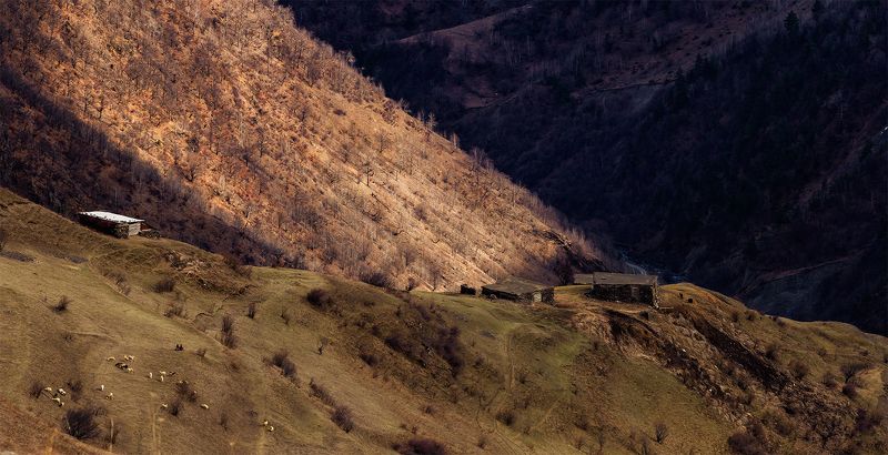 Здесь гуляет самая вкусная баранина. фото превью