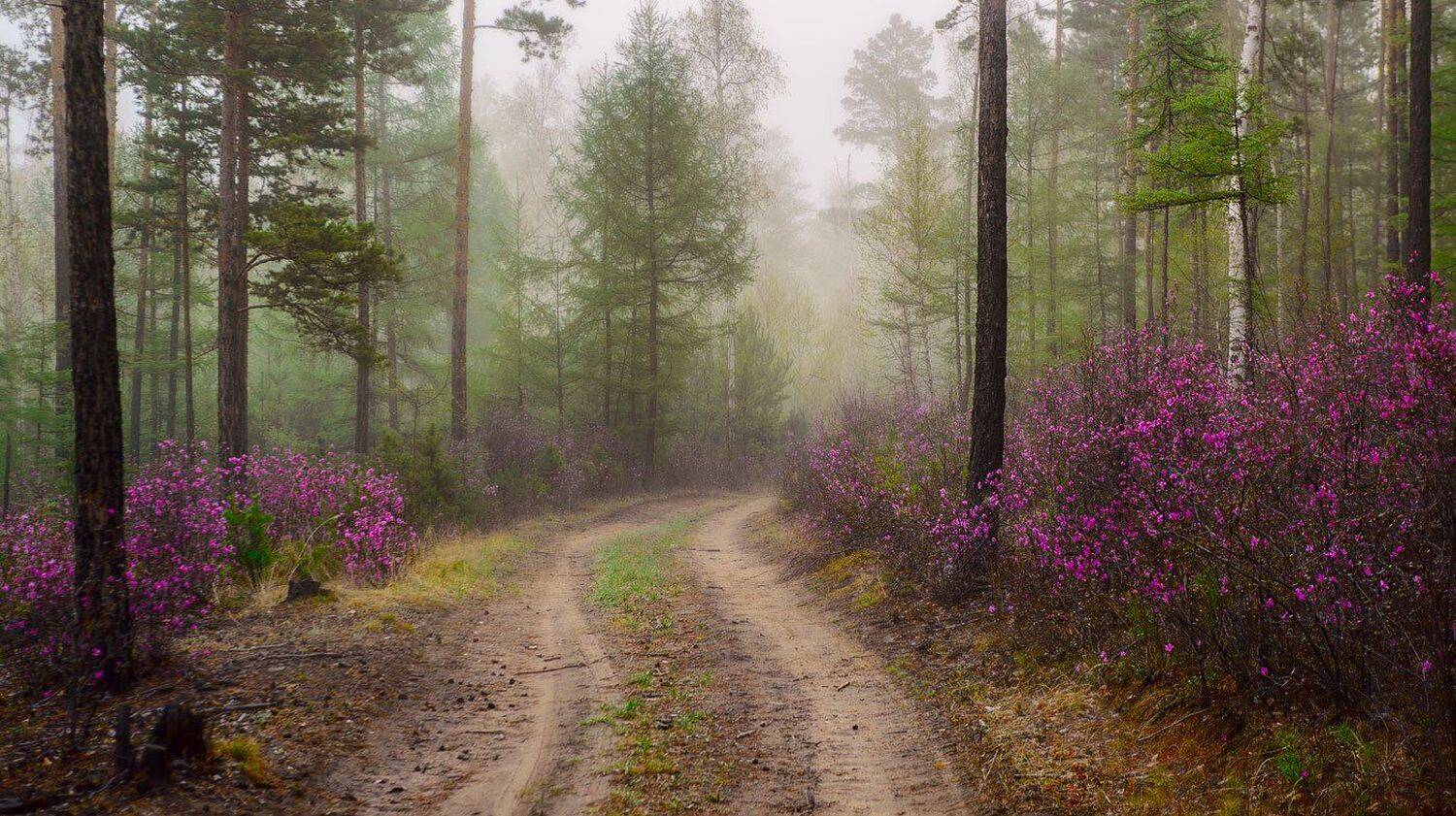 , Сергей Брагин