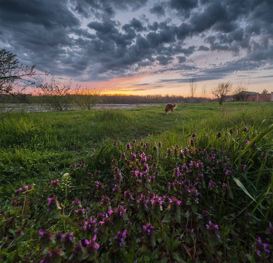 , Николай Мысливцев
