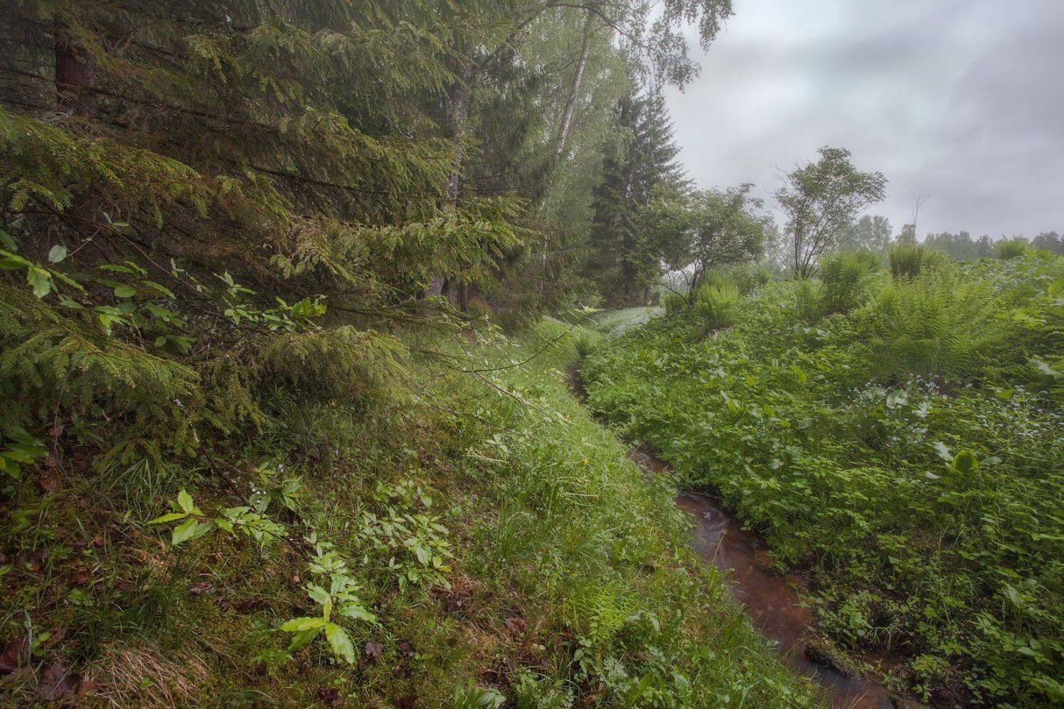 Михайловское, Псковская область., Андрей Леонидович