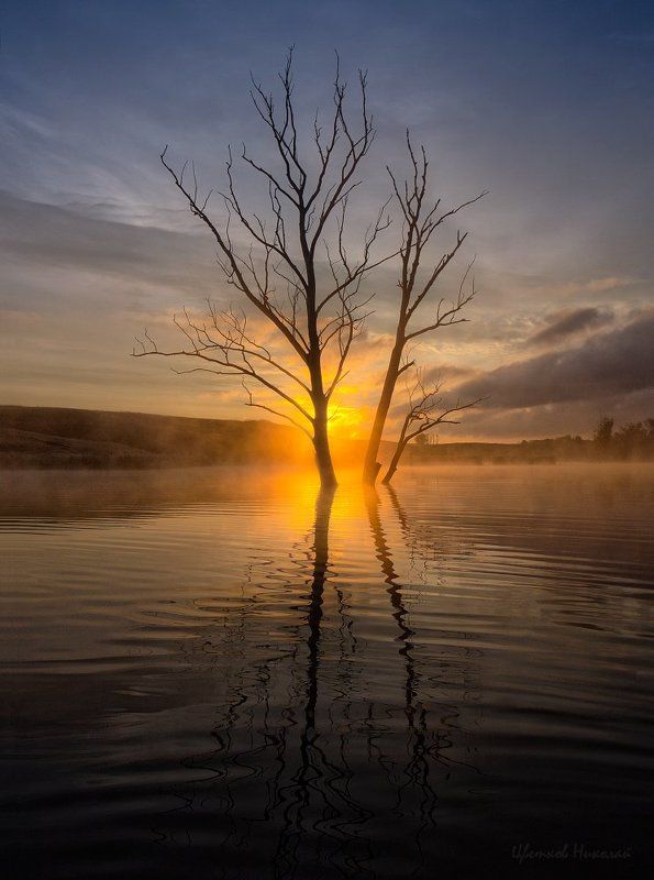 Туманный рассвет фото превью