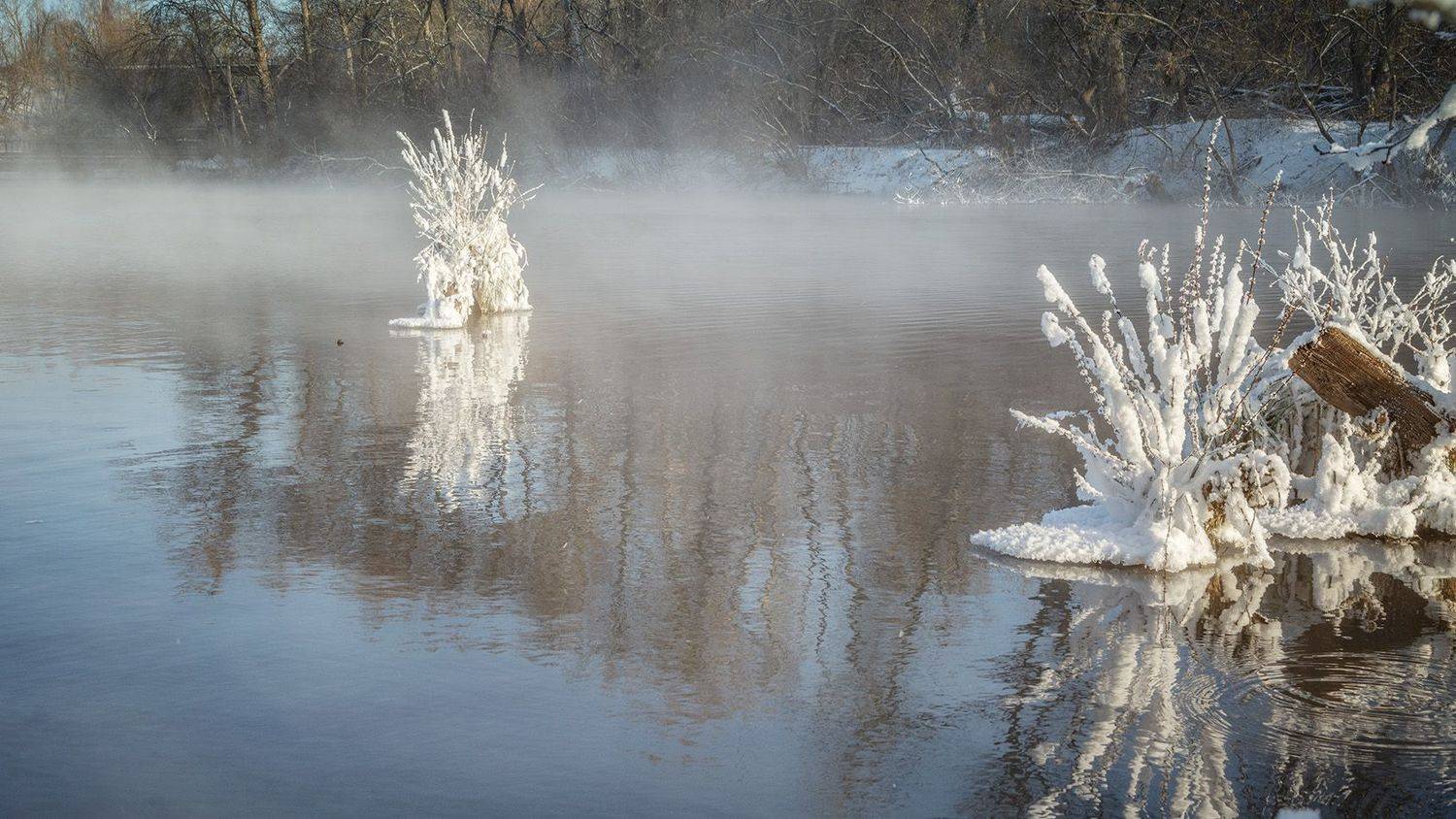 , Анатолий Зверев