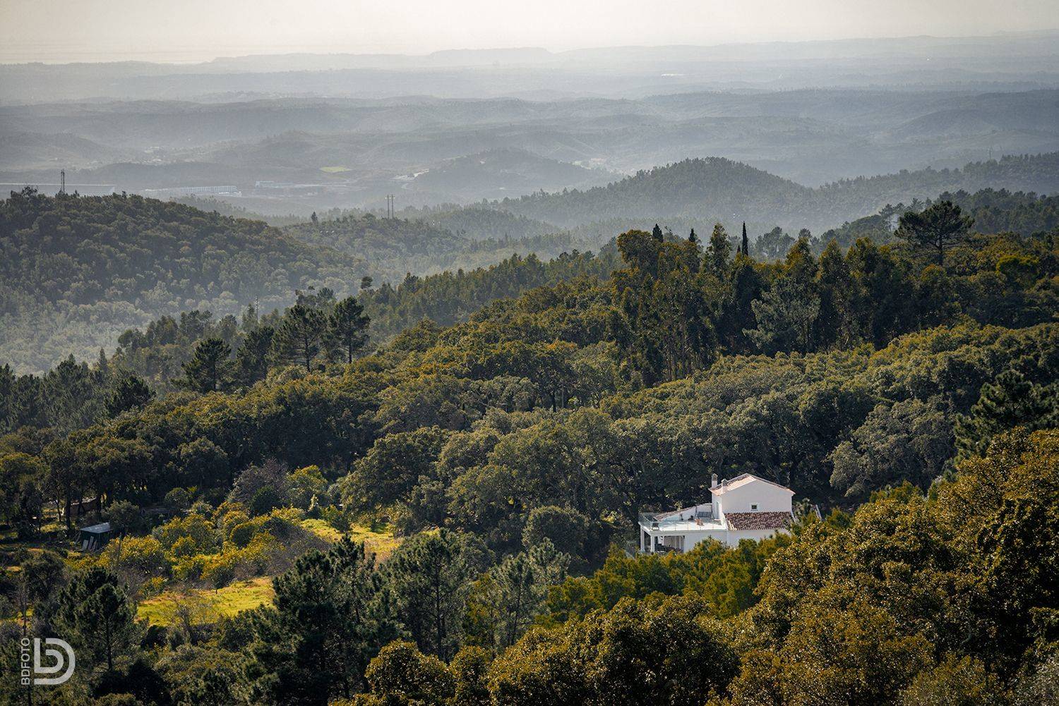, Дмитрий Бакулин