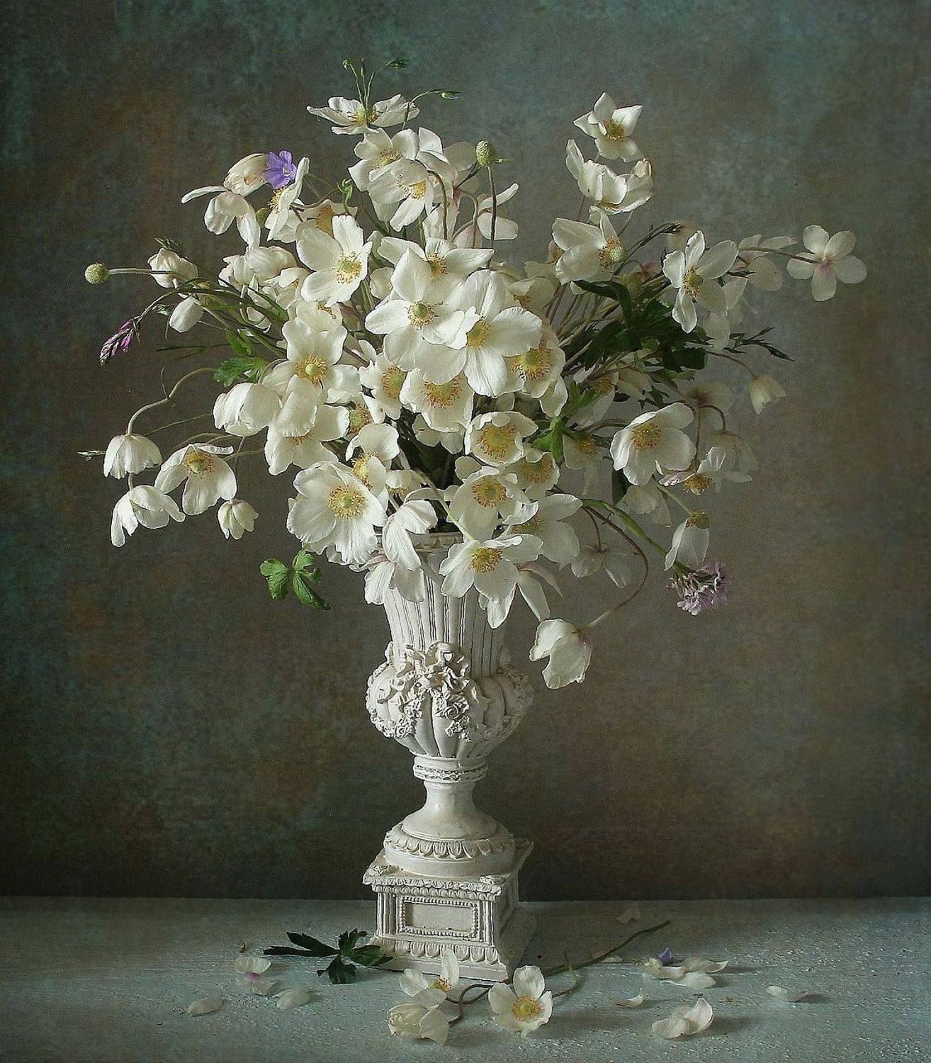 натюрморт, цветы, полевые цветы, лето, марина филатова, анемоны, Марина Филатова