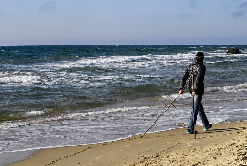 Жанр Палочник. фото превью