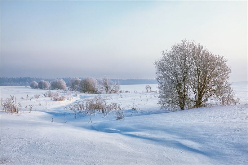 пейзаж, зима, утро, свет, цвет, александр никитинский Зимнее утро... фото превью